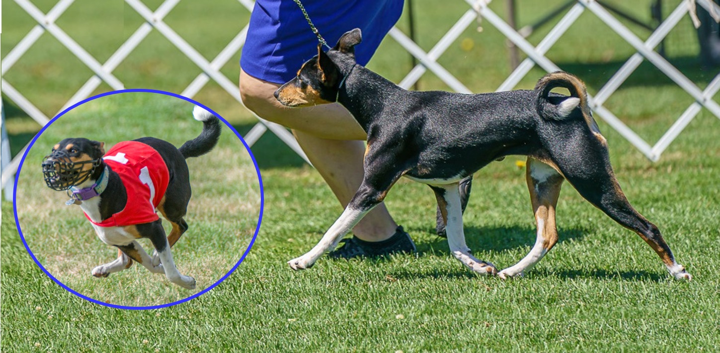 Makindu You Know I Got It