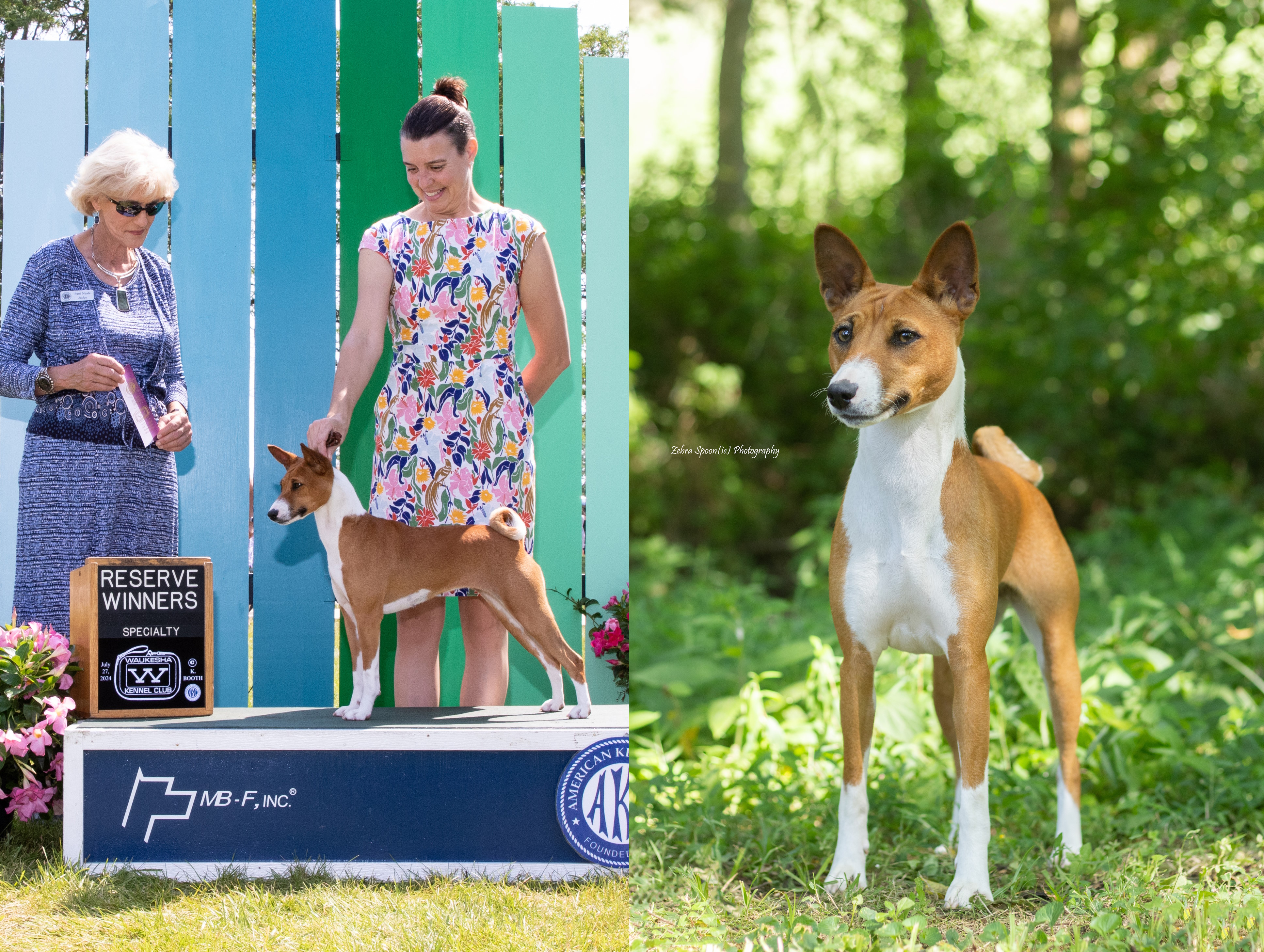 Ture And Kibushi's Divine Magic