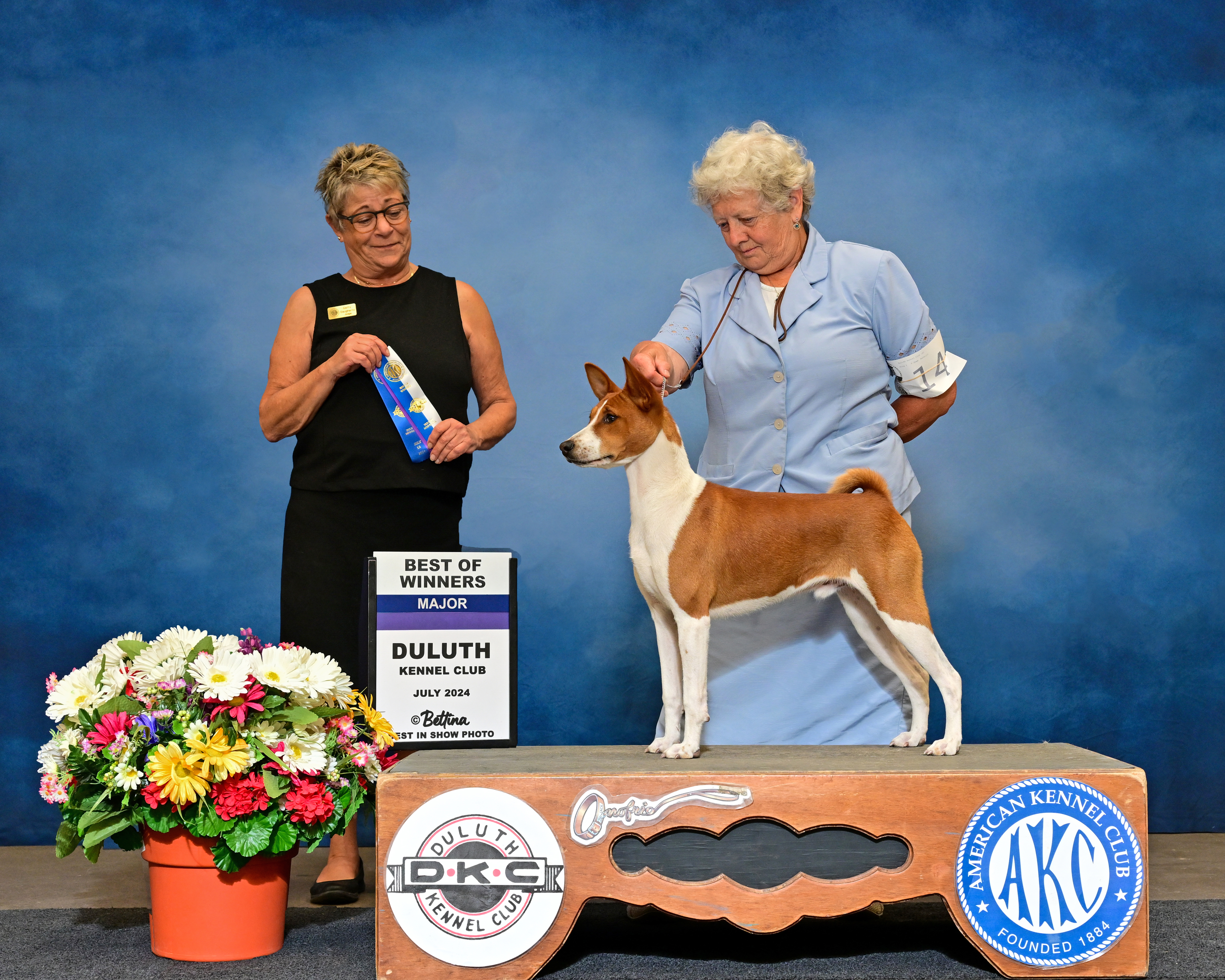 Laurel Ziggity Solstice Caper