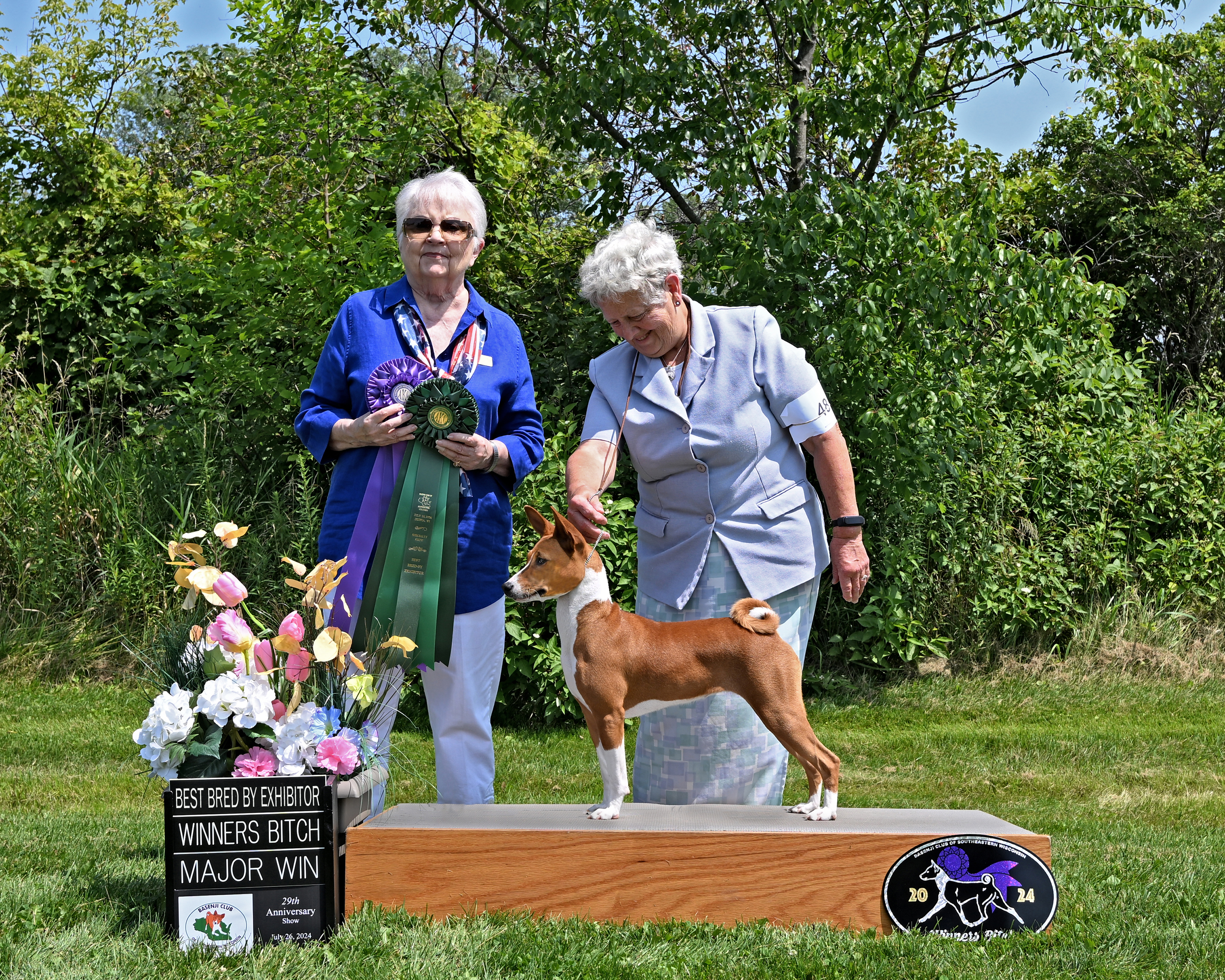 Laurel Ziggity So Quizzical As It Dawns On Us All