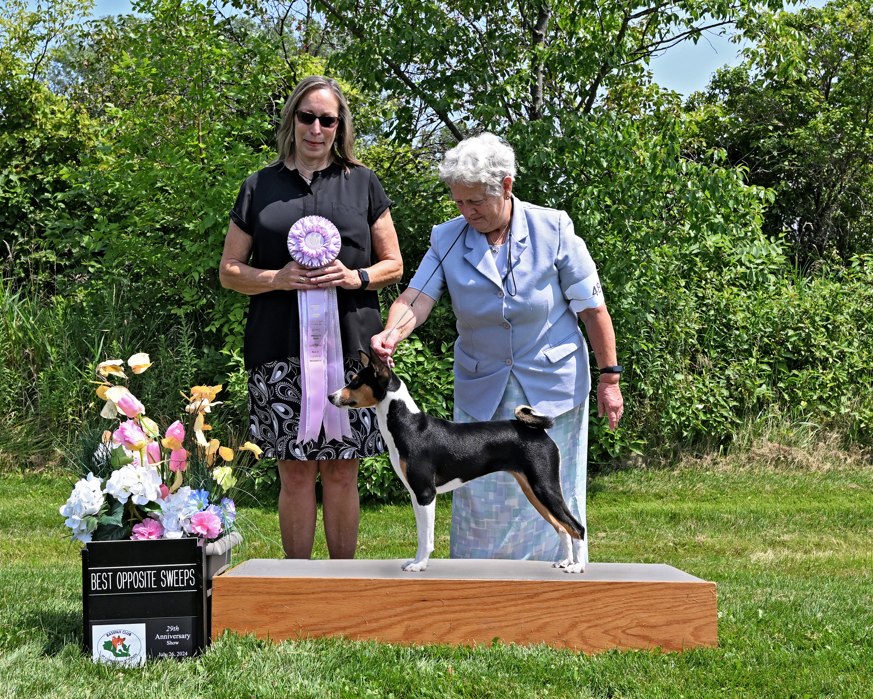 Laurel Ziggity Solar Phenomenon