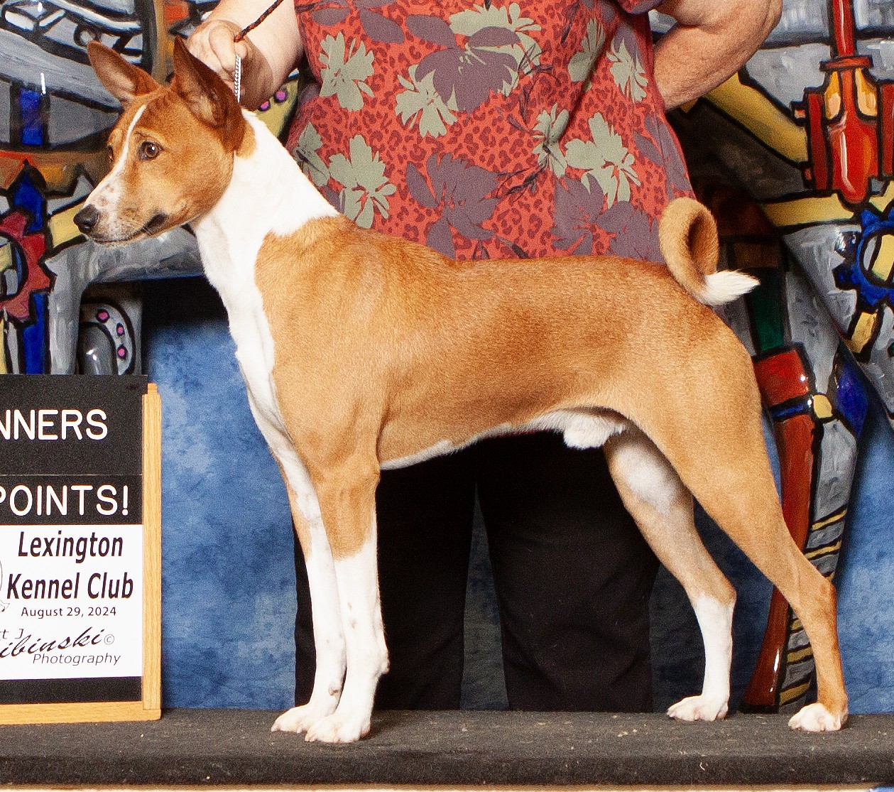 Kibushi & Ture's Something Magical At Possum Creek